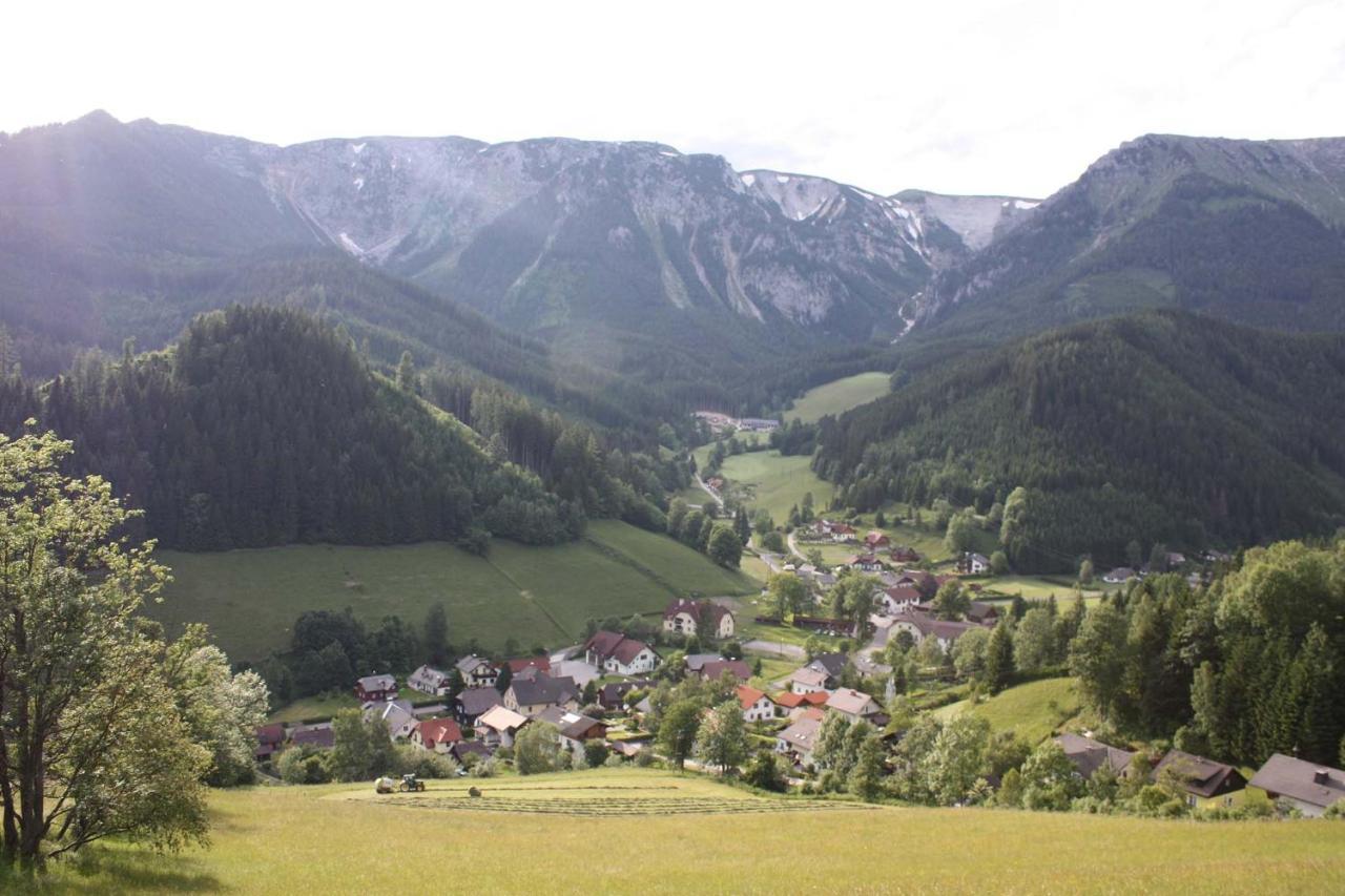 Altenbergerhof Neuberg an der Mürz المظهر الخارجي الصورة